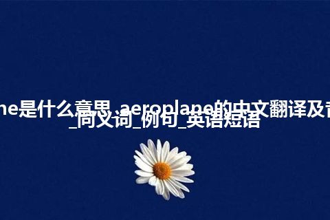 aeroplane是什么意思_aeroplane的中文翻译及音标_用法_同义词_例句_英语短语