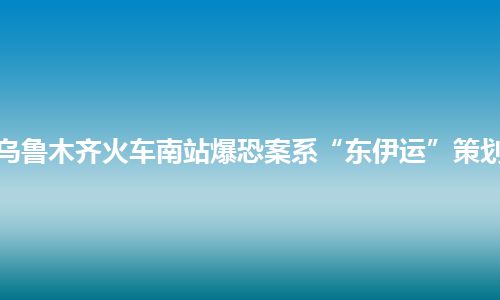 乌鲁木齐火车南站爆恐案系“东伊运”策划