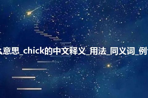 chick是什么意思_chick的中文释义_用法_同义词_例句_英语短语