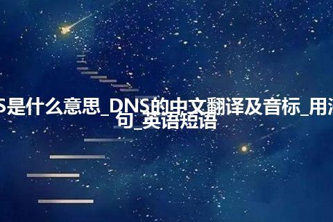 DNS是什么意思_DNS的中文翻译及音标_用法_例句_英语短语