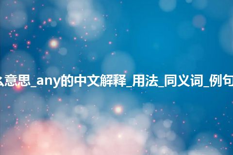 any是什么意思_any的中文解释_用法_同义词_例句_英语短语