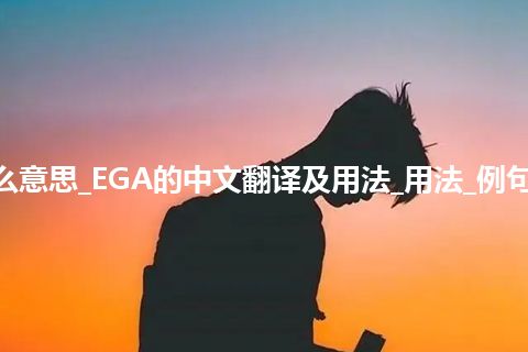 EGA是什么意思_EGA的中文翻译及用法_用法_例句_英语短语