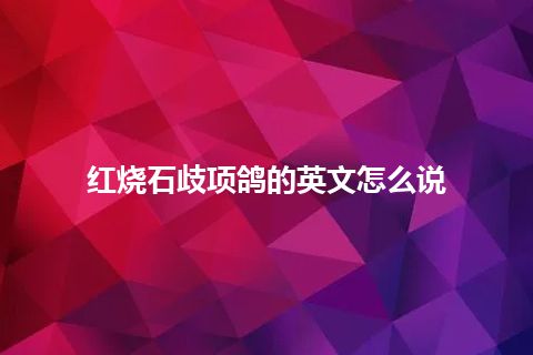 红烧石歧项鸽的英文怎么说