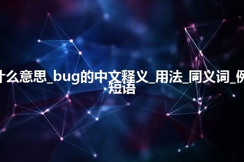 bug是什么意思_bug的中文释义_用法_同义词_例句_英语短语