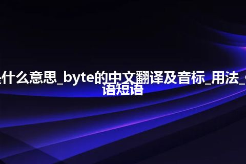 byte是什么意思_byte的中文翻译及音标_用法_例句_英语短语