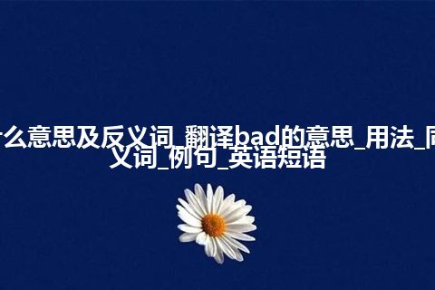 bad是什么意思及反义词_翻译bad的意思_用法_同义词_反义词_例句_英语短语