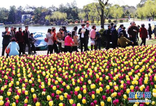 上海郁金香节开幕庆祝荷兰文化