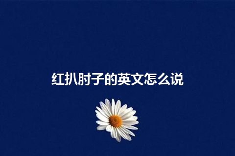 红扒肘子的英文怎么说