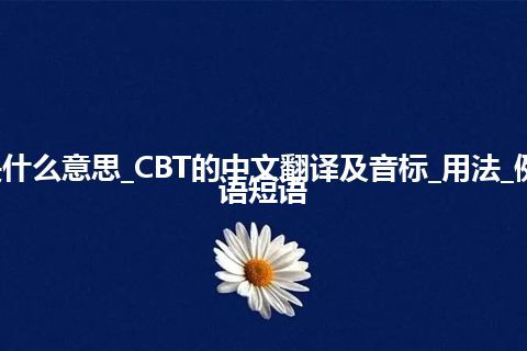 CBT是什么意思_CBT的中文翻译及音标_用法_例句_英语短语