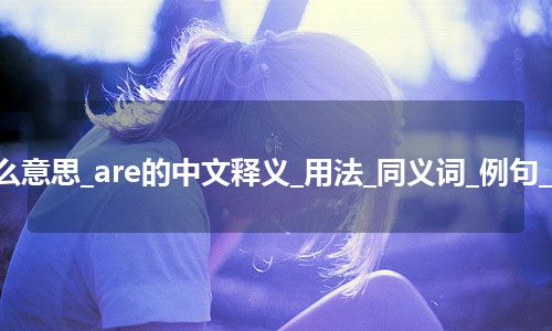 are是什么意思_are的中文释义_用法_同义词_例句_英语短语