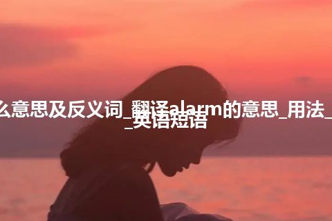 alarm是什么意思及反义词_翻译alarm的意思_用法_同义词_例句_英语短语