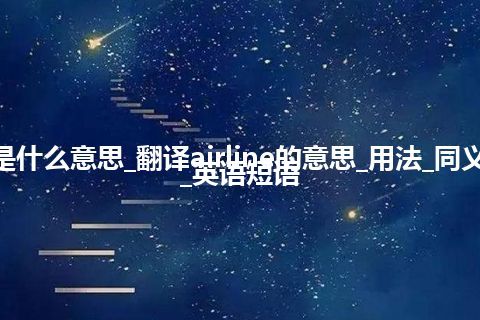 airline是什么意思_翻译airline的意思_用法_同义词_例句_英语短语