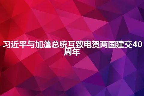 习近平与加蓬总统互致电贺两国建交40周年