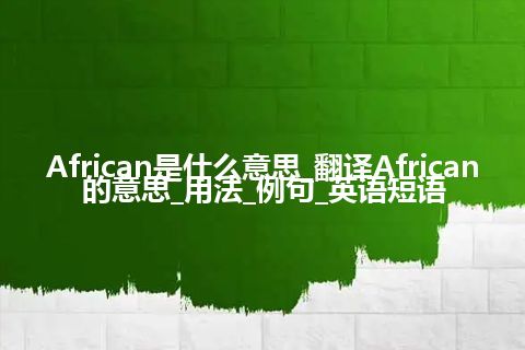 African是什么意思_翻译African的意思_用法_例句_英语短语