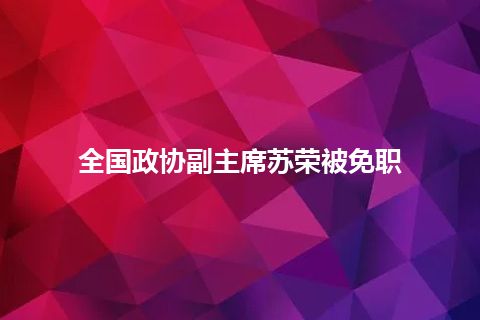 全国政协副主席苏荣被免职