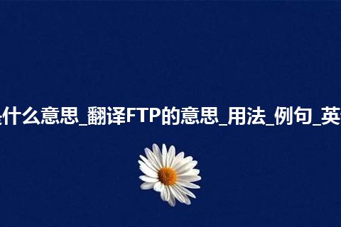 FTP是什么意思_翻译FTP的意思_用法_例句_英语短语