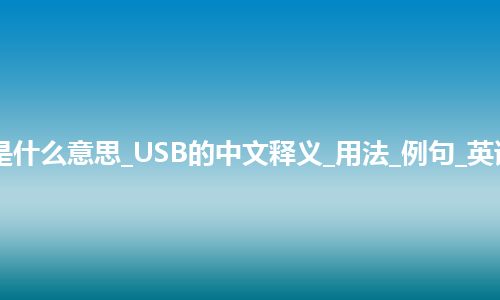 USB是什么意思_USB的中文释义_用法_例句_英语短语