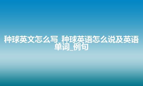 种球英文怎么写_种球英语怎么说及英语单词_例句