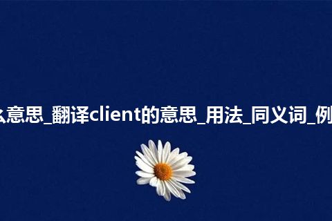 client是什么意思_翻译client的意思_用法_同义词_例句_英语短语