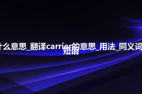 carrier是什么意思_翻译carrier的意思_用法_同义词_例句_英语短语