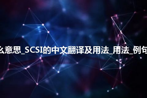 SCSI是什么意思_SCSI的中文翻译及用法_用法_例句_英语短语