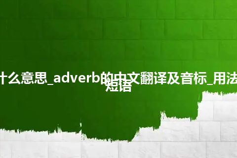 adverb是什么意思_adverb的中文翻译及音标_用法_例句_英语短语