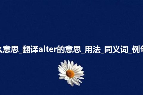 alter是什么意思_翻译alter的意思_用法_同义词_例句_英语短语