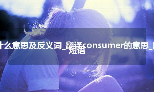 consumer是什么意思及反义词_翻译consumer的意思_用法_例句_英语短语