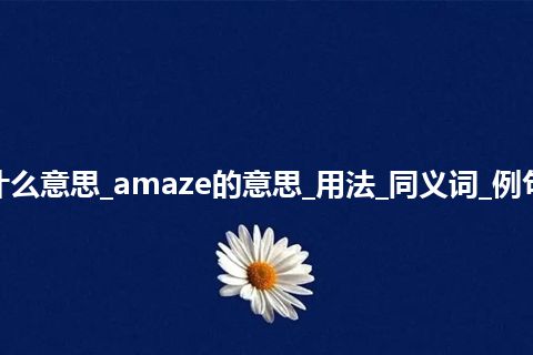 amaze是什么意思_amaze的意思_用法_同义词_例句_英语短语