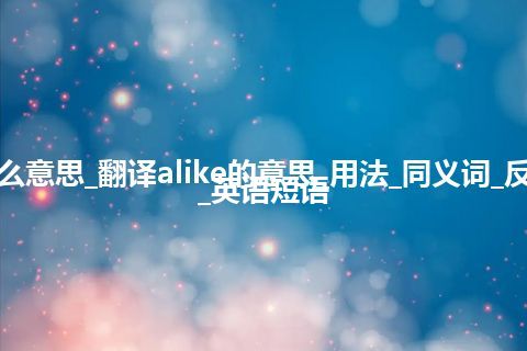 alike是什么意思_翻译alike的意思_用法_同义词_反义词_例句_英语短语