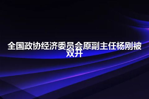 全国政协经济委员会原副主任杨刚被双开