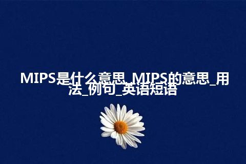 MIPS是什么意思_MIPS的意思_用法_例句_英语短语