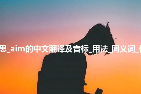 aim是什么意思_aim的中文翻译及音标_用法_同义词_例句_英语短语