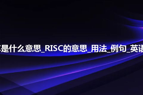 RISC是什么意思_RISC的意思_用法_例句_英语短语