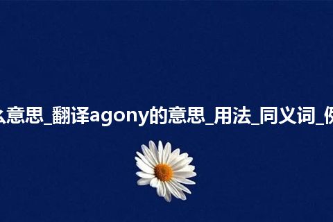 agony是什么意思_翻译agony的意思_用法_同义词_例句_英语短语