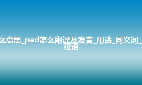 pad是什么意思_pad怎么翻译及发音_用法_同义词_例句_英语短语