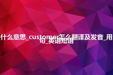 customer是什么意思_customer怎么翻译及发音_用法_同义词_例句_英语短语