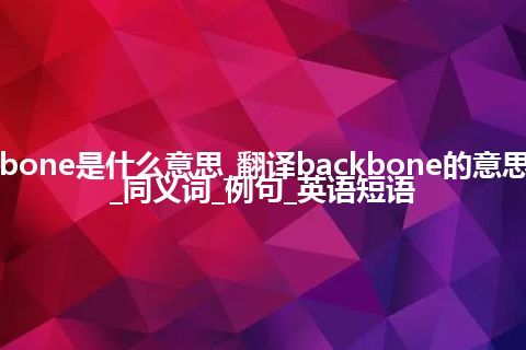 backbone是什么意思_翻译backbone的意思_用法_同义词_例句_英语短语