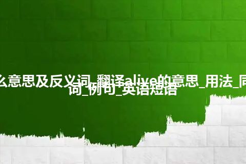 alive是什么意思及反义词_翻译alive的意思_用法_同义词_反义词_例句_英语短语