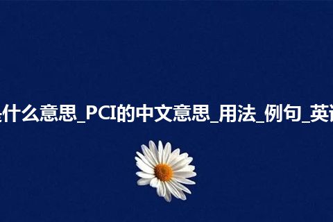 PCI是什么意思_PCI的中文意思_用法_例句_英语短语