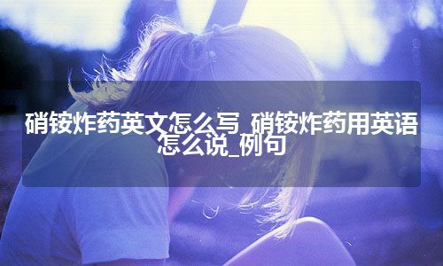 硝铵炸药英文怎么写_硝铵炸药用英语怎么说_例句