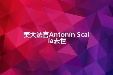 美大法官Antonin Scalia去世