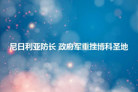 尼日利亚防长 政府军重挫博科圣地