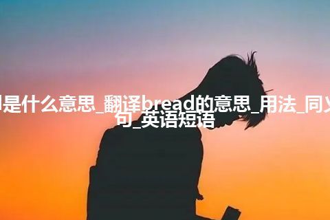 bread是什么意思_翻译bread的意思_用法_同义词_例句_英语短语