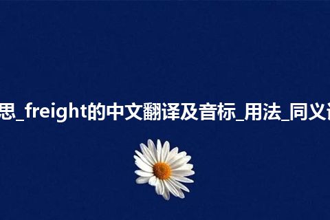 freight是什么意思_freight的中文翻译及音标_用法_同义词_例句_英语短语