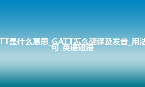 GATT是什么意思_GATT怎么翻译及发音_用法_例句_英语短语