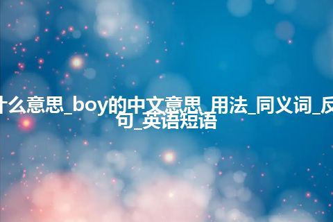 boy是什么意思_boy的中文意思_用法_同义词_反义词_例句_英语短语