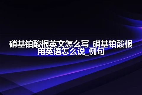 硝基铂酸根英文怎么写_硝基铂酸根用英语怎么说_例句