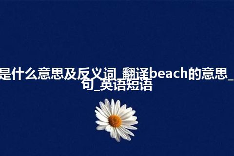 beach是什么意思及反义词_翻译beach的意思_用法_例句_英语短语