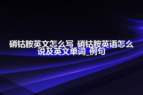 硝钴胺英文怎么写_硝钴胺英语怎么说及英文单词_例句